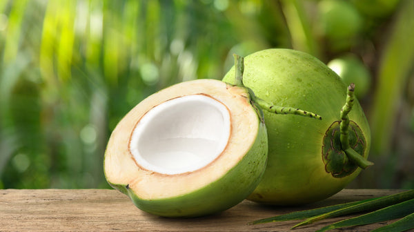 The Bald Coconut